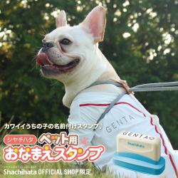 おなまえスタンプ ペット用【メールオーダー式】