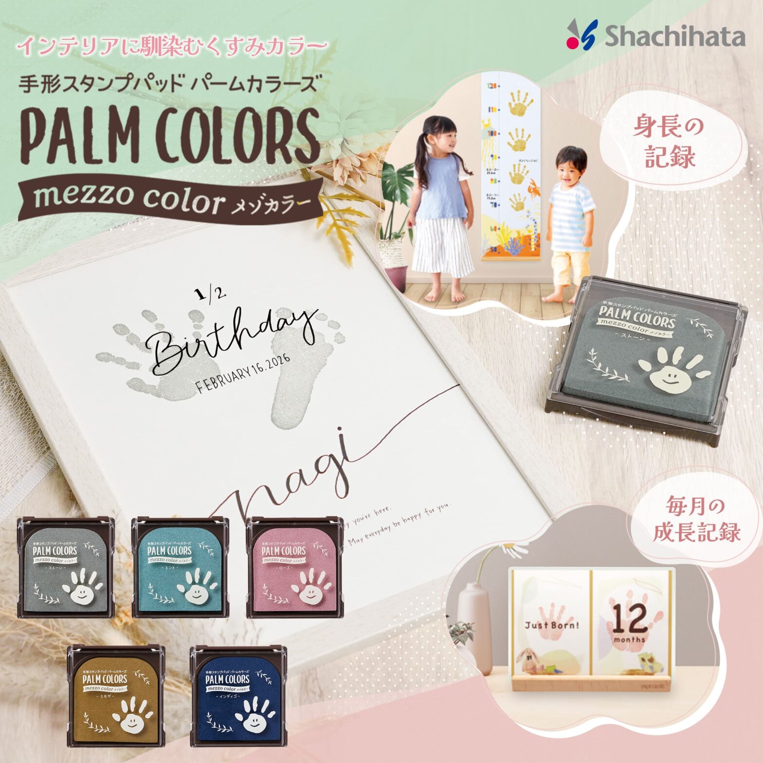 〜 PALM COLORS mezzo color 〜人気シリーズにくすみカラーが登場！