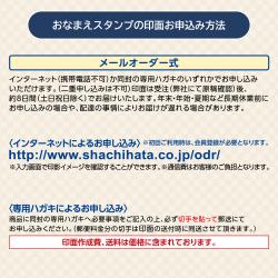 慶弔おなまえスタンプ 金額ゴム印セット【メールオーダー式】_9