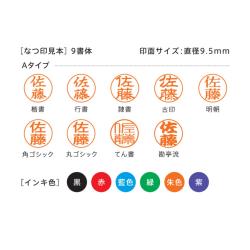 シャチハタ ネーム9 【別注品】 創業95周年記念カラー_3