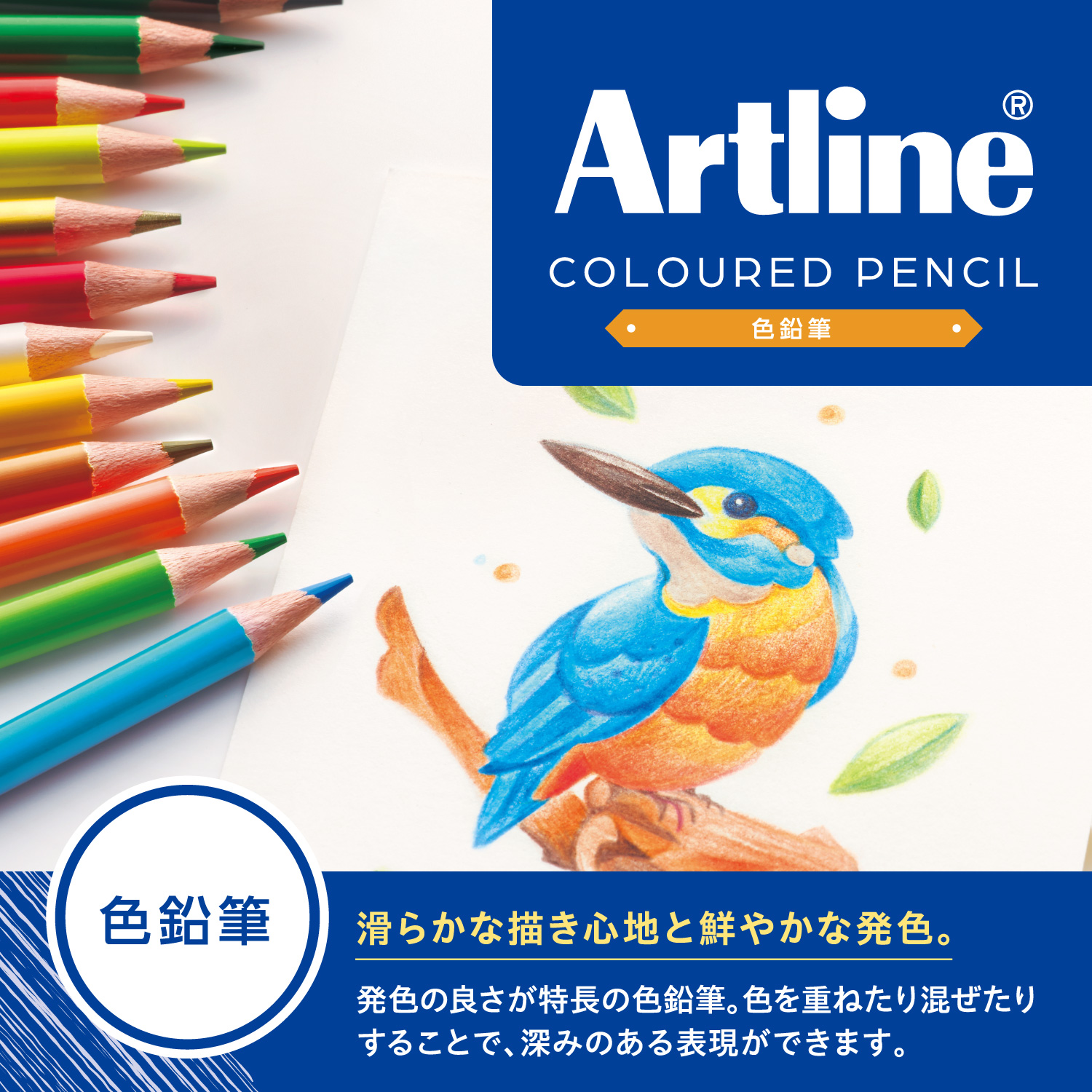 Artlineアートライン 色鉛筆 36色セット_2